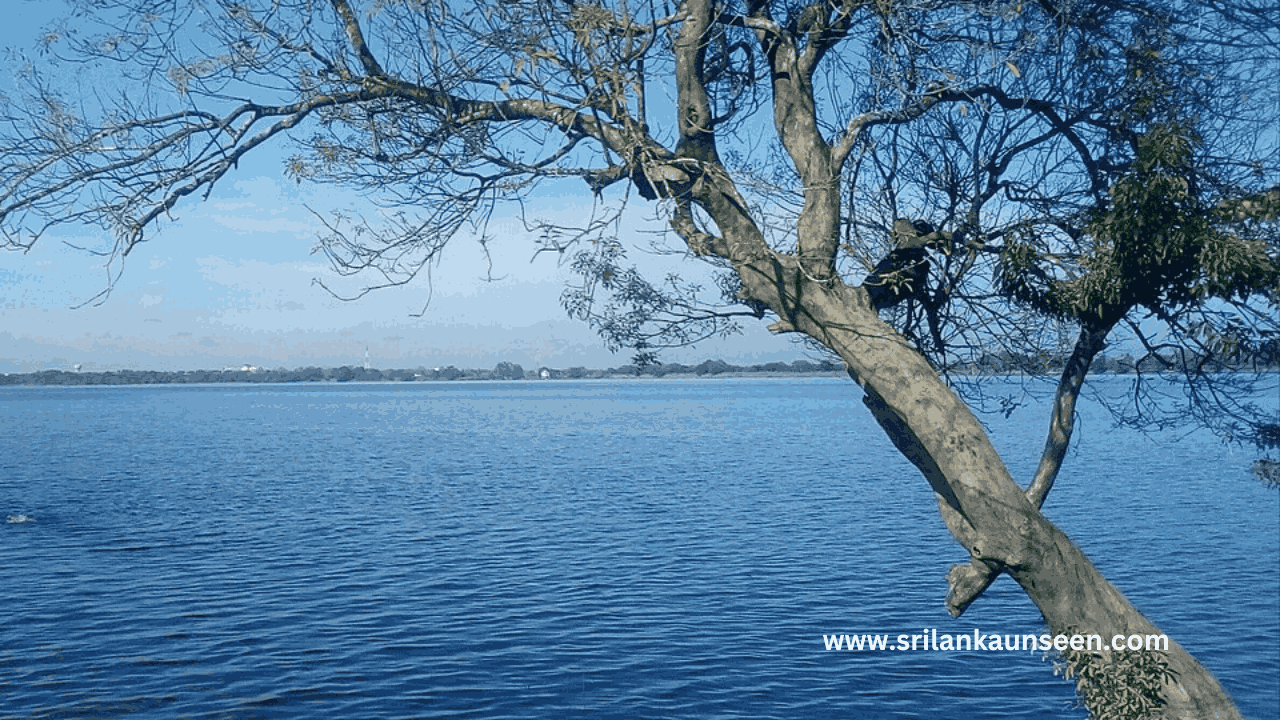 Visit Inland Ocean Sri Lanka