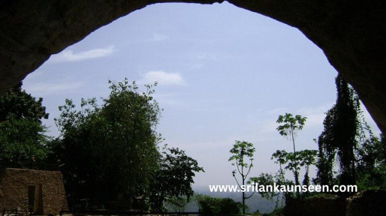 credit www.wikipediacommon.com