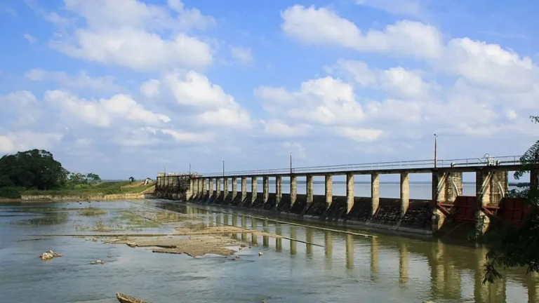 Discovering Iranamadu Tank: A Hidden Gem of Northern Sri Lanka