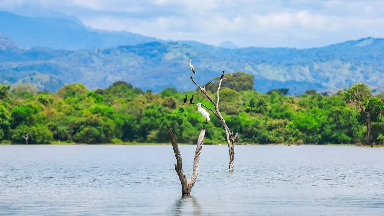 lake in srilanka credit-unsplash